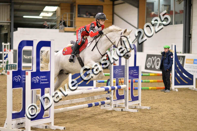 D4N_5021 - NorthcoteSun26thOct'25 Unaff.Jumping AvailableUntil28thNov'25