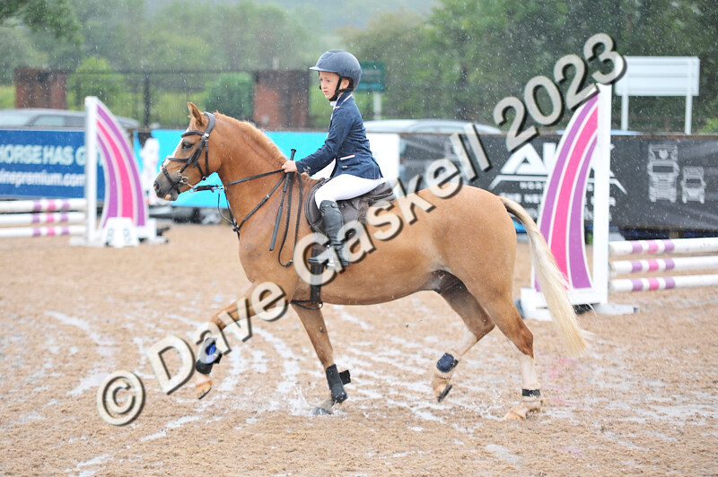 D8D_7097 - Juniors