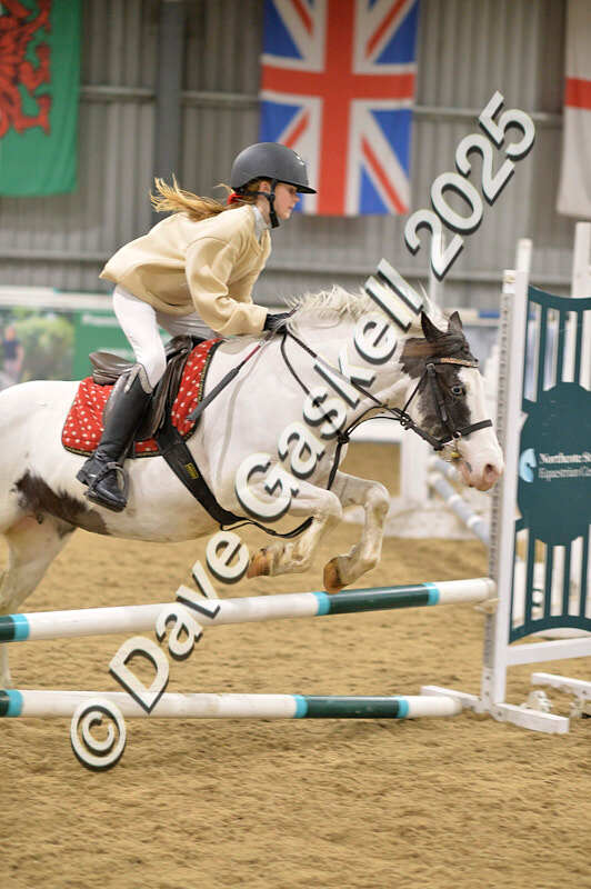 D4N_6764 - NorthcoteSat8thDec'25 XmasShowJumping AvailableUntil6thJan'26
