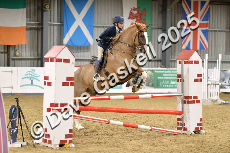 D4N_6481 - NorthcoteSun16thNov'25 Unaff.Jumping AvailableUntil16thDec'25