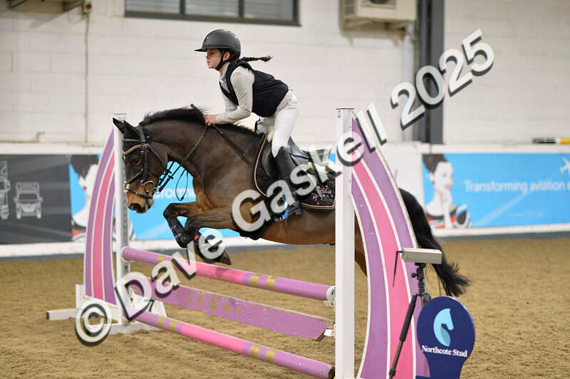 D4N_5687 - NorthcoteSun16thNov'25 Unaff.Jumping AvailableUntil16thDec'25