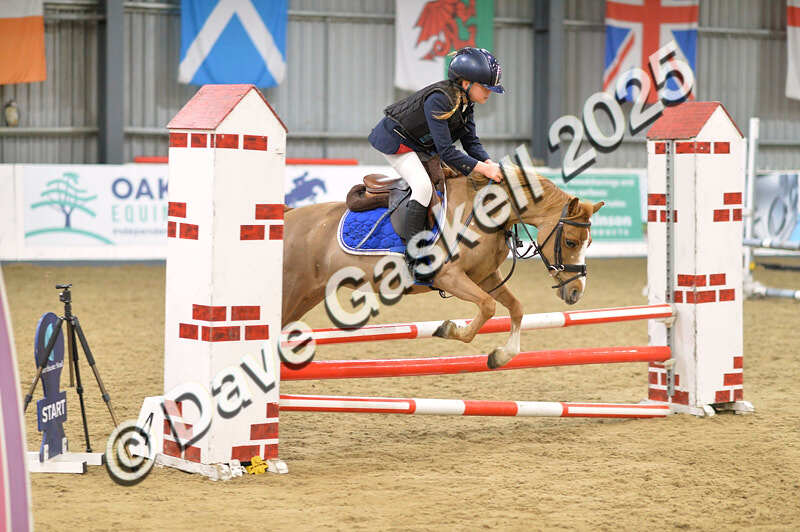 D4N_5697 - NorthcoteSun16thNov'25 Unaff.Jumping AvailableUntil16thDec'25