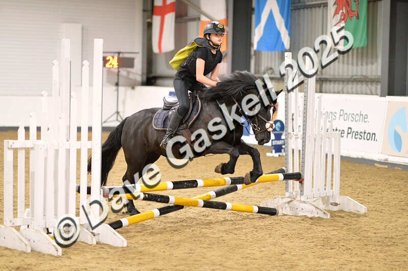 D4N_4945 - NorthcoteSun26thOct'25 Unaff.Jumping AvailableUntil28thNov'25