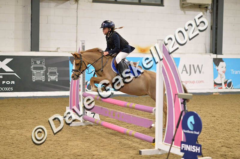 D4N_5699 - NorthcoteSun16thNov'25 Unaff.Jumping AvailableUntil16thDec'25