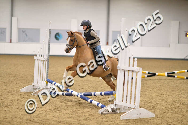 D4N_4682 - NorthcoteSun26thOct'25 Unaff.Jumping AvailableUntil28thNov'25