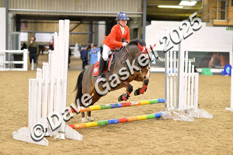 D4N_6690 - NorthcoteSat8thDec'25 XmasShowJumping AvailableUntil6thJan'26