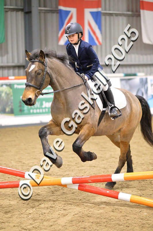 D4N_4724 - NorthcoteSun26thOct'25 Unaff.Jumping AvailableUntil28thNov'25