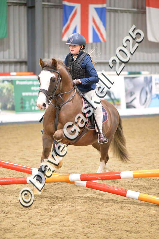 D4N_4639 - NorthcoteSun26thOct'25 Unaff.Jumping AvailableUntil28thNov'25