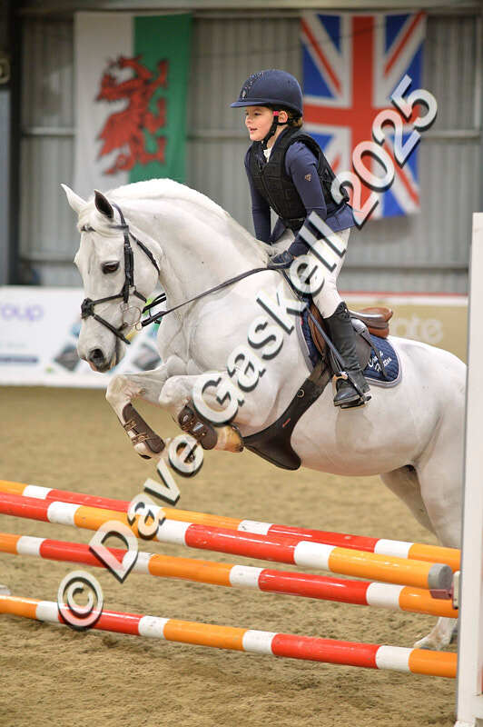 D4N_5765 - NorthcoteSun16thNov'25 Unaff.Jumping AvailableUntil16thDec'25