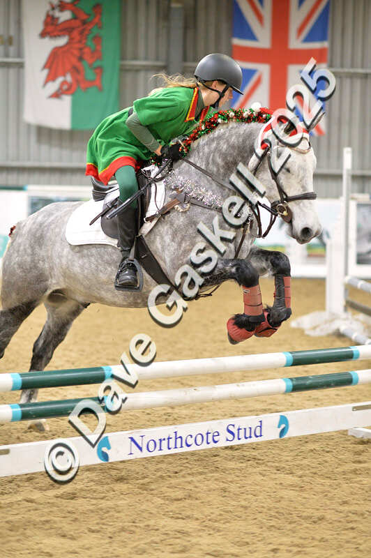 D4N_6882 - NorthcoteSat8thDec'25 XmasShowJumping AvailableUntil6thJan'26