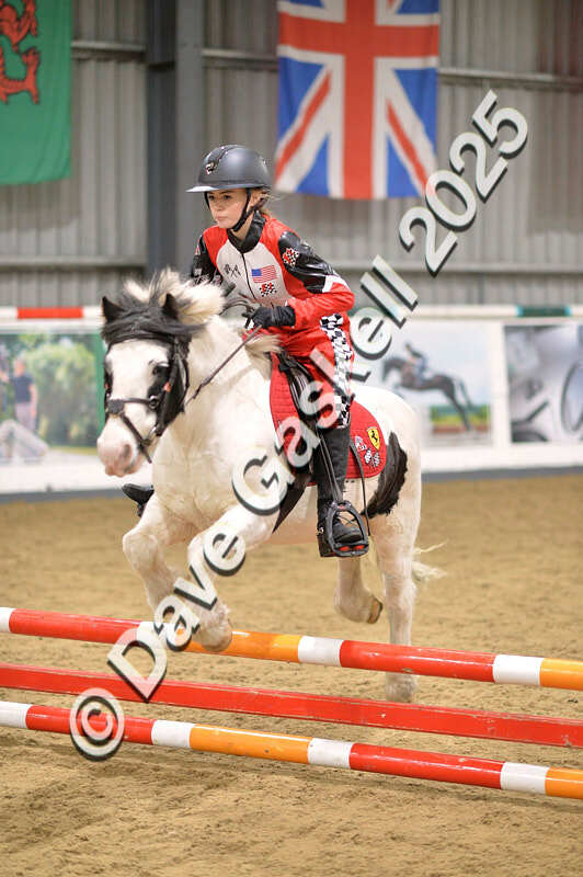 D4N_4787 - NorthcoteSun26thOct'25 Unaff.Jumping AvailableUntil28thNov'25