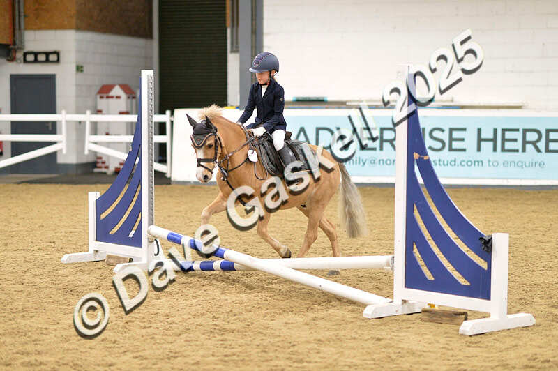 D4N_6599 - NorthcoteSat8thDec'25 XmasShowJumping AvailableUntil6thJan'26