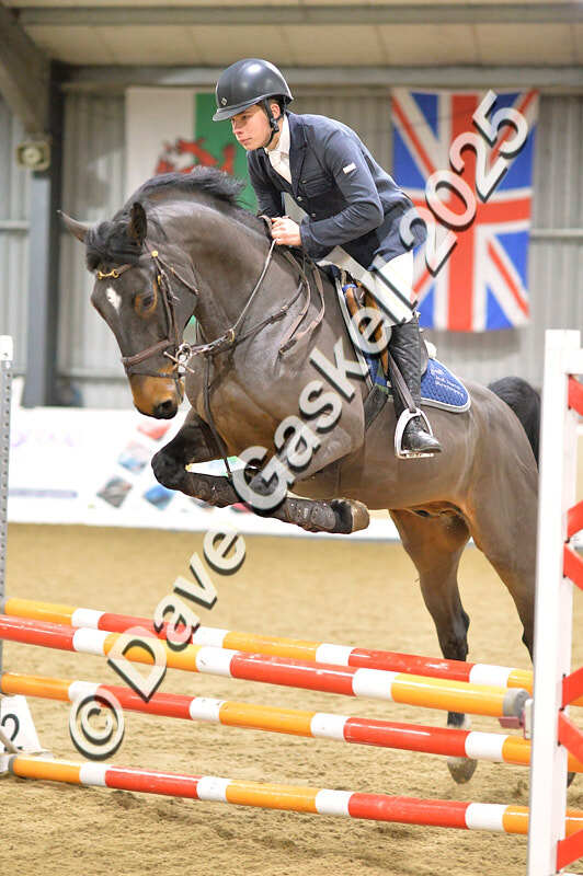 D4N_6240 - NorthcoteSun16thNov'25 Unaff.Jumping AvailableUntil16thDec'25