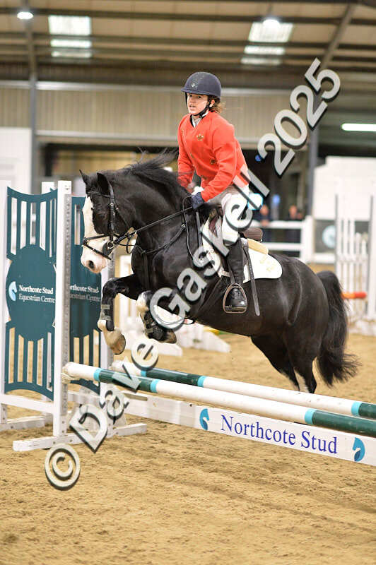 D4N_7095 - NorthcoteSat8thDec'25 XmasShowJumping AvailableUntil6thJan'26