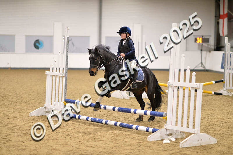 D4N_4781 - NorthcoteSun26thOct'25 Unaff.Jumping AvailableUntil28thNov'25