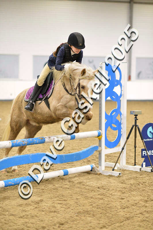 D4N_6863 - NorthcoteSat8thDec'25 XmasShowJumping AvailableUntil6thJan'26