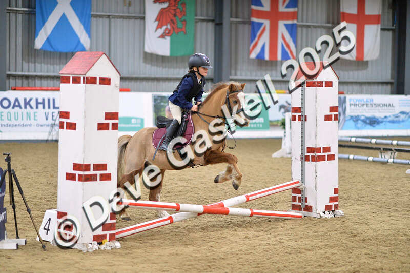 D4N_5506 - NorthcoteSun16thNov'25 Unaff.Jumping AvailableUntil16thDec'25