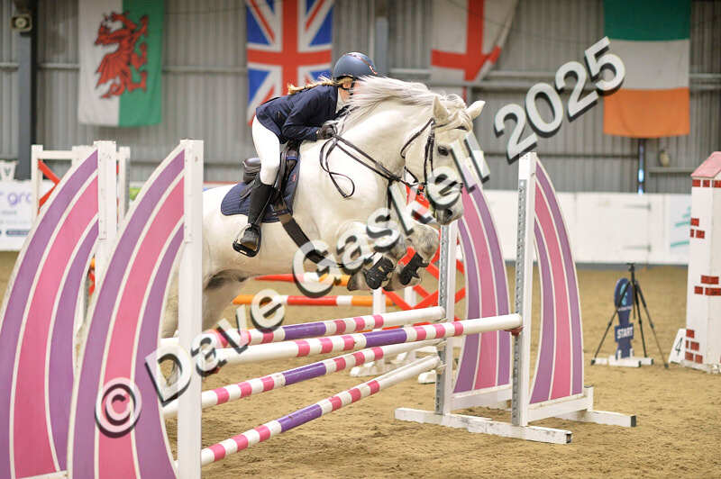 D4N_5852 - NorthcoteSun16thNov'25 Unaff.Jumping AvailableUntil16thDec'25