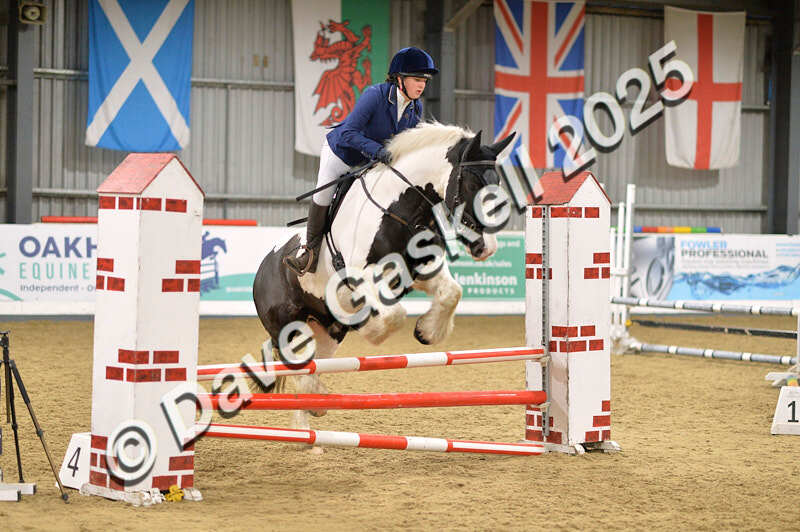 D4N_6074 - NorthcoteSun16thNov'25 Unaff.Jumping AvailableUntil16thDec'25