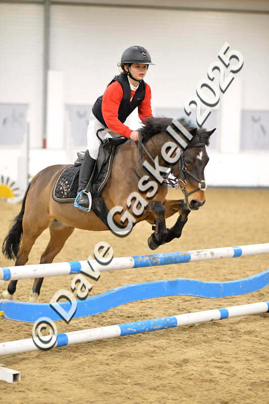 D4N_6852 - NorthcoteSat8thDec'25 XmasShowJumping AvailableUntil6thJan'26