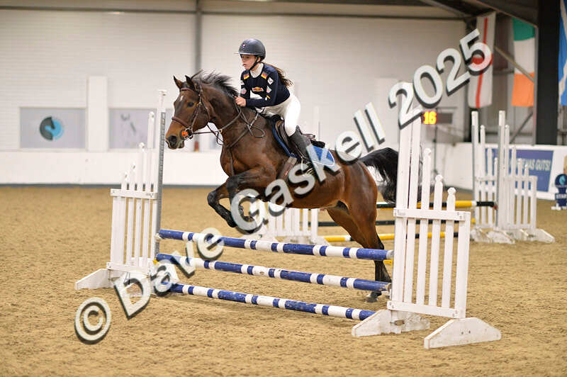 D4N_5014 - NorthcoteSun26thOct'25 Unaff.Jumping AvailableUntil28thNov'25