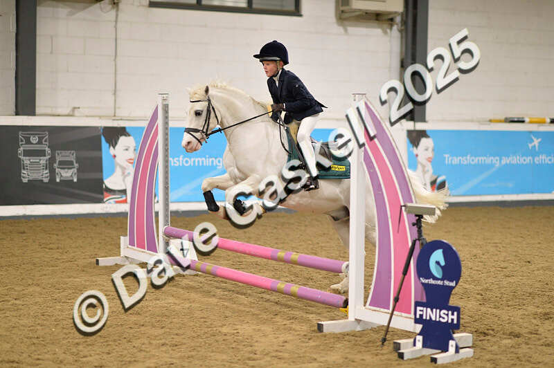 D4N_5580 - NorthcoteSun16thNov'25 Unaff.Jumping AvailableUntil16thDec'25