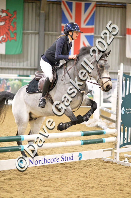 D4N_6836 - NorthcoteSat8thDec'25 XmasShowJumping AvailableUntil6thJan'26