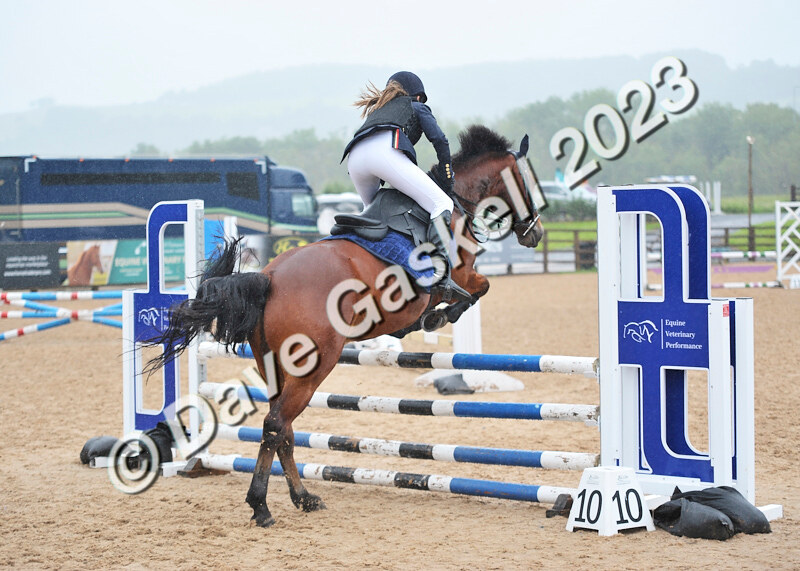 D8D_7385 - Juniors