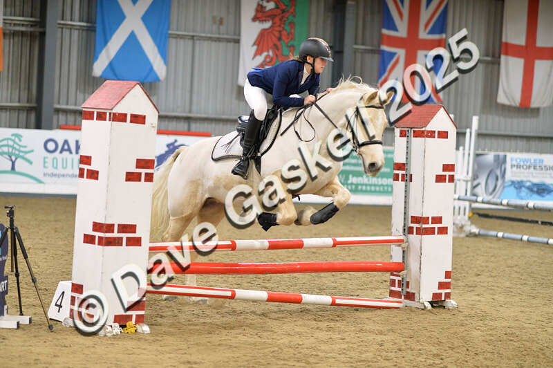 D4N_5703 - NorthcoteSun16thNov'25 Unaff.Jumping AvailableUntil16thDec'25