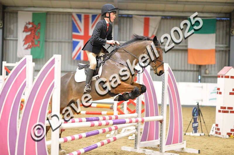 D4N_5858 - NorthcoteSun16thNov'25 Unaff.Jumping AvailableUntil16thDec'25