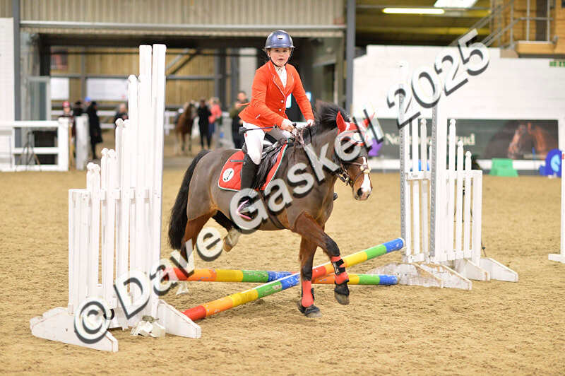 D4N_6615 - NorthcoteSat8thDec'25 XmasShowJumping AvailableUntil6thJan'26