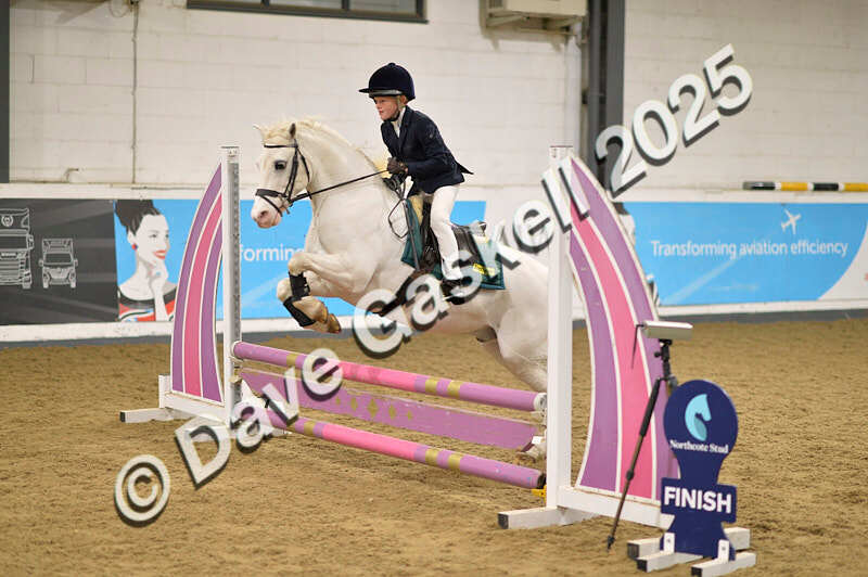 D4N_5623 - NorthcoteSun16thNov'25 Unaff.Jumping AvailableUntil16thDec'25