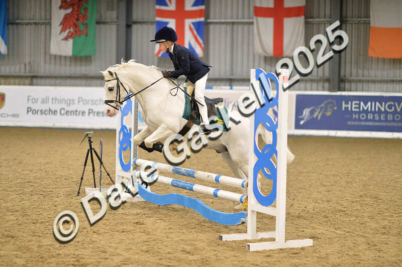 D4N_5625 - NorthcoteSun16thNov'25 Unaff.Jumping AvailableUntil16thDec'25