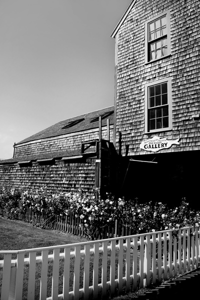 old sculpin gallery b&w - COASTAL [B&W]