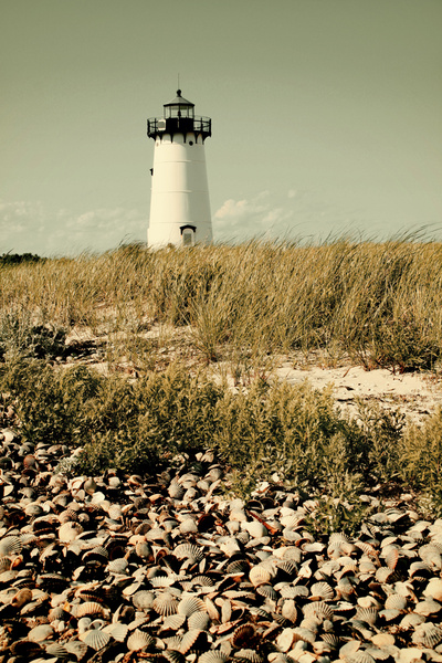 harbor lighthouse and shells [vintage] - COASTAL [Vintage]