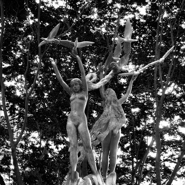 uplifted [b&w] - ELEMENTAL [B&W]