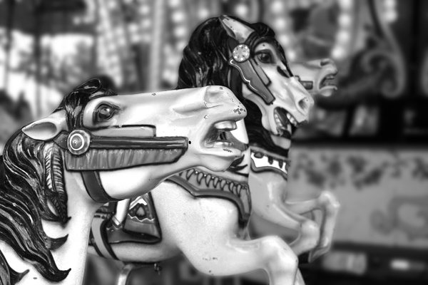 carousel [b&w] - ELEMENTAL [B&W]