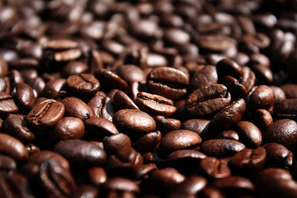 coffee beans - NATURAL [Color]