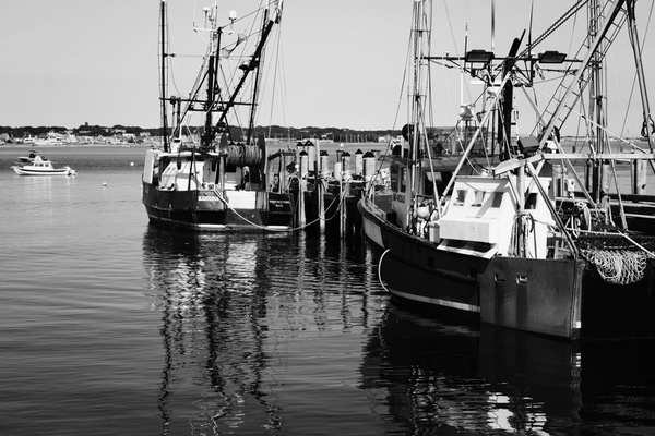 kahuna b&w - COASTAL [B&W]