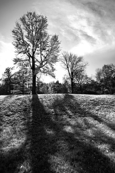 daybreak - NATURAL [B&W]