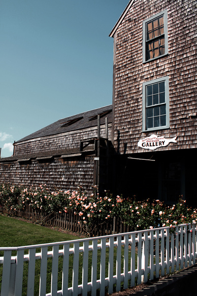 old sculpin gallery [color] - COASTAL [Color]