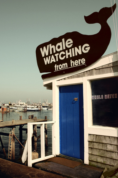 whale watching [vintage] - COASTAL [Vintage]