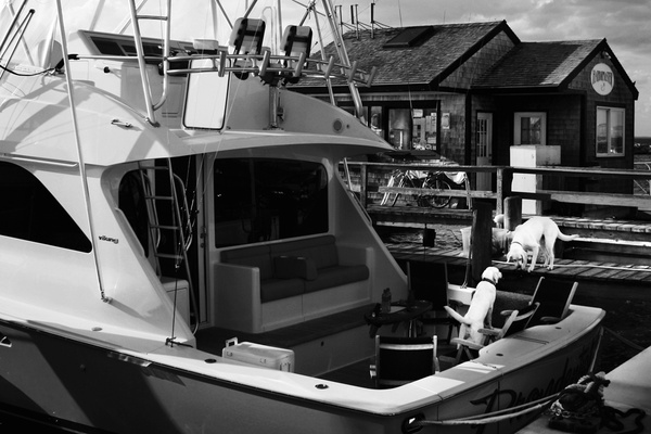 shipmates b&w - COASTAL [B&W]