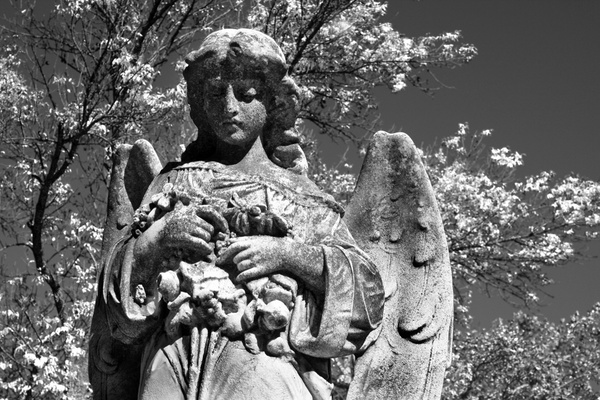 angel wreath [b&w] - ELEMENTAL [B&W]