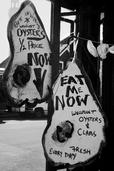 fresh oysters b&w - COASTAL [B&W]