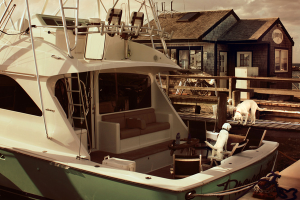 shipmates [vintage] - COASTAL [Vintage]