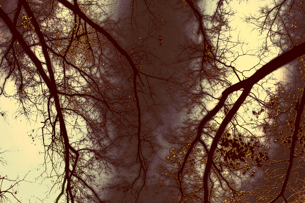 darkening skies - NATURAL [Color]