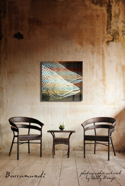 Barramundi - Artwork Displayed in a Room