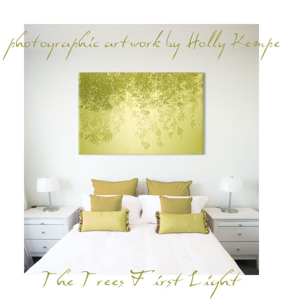 The Trees First Light - Artwork Displayed in a Room