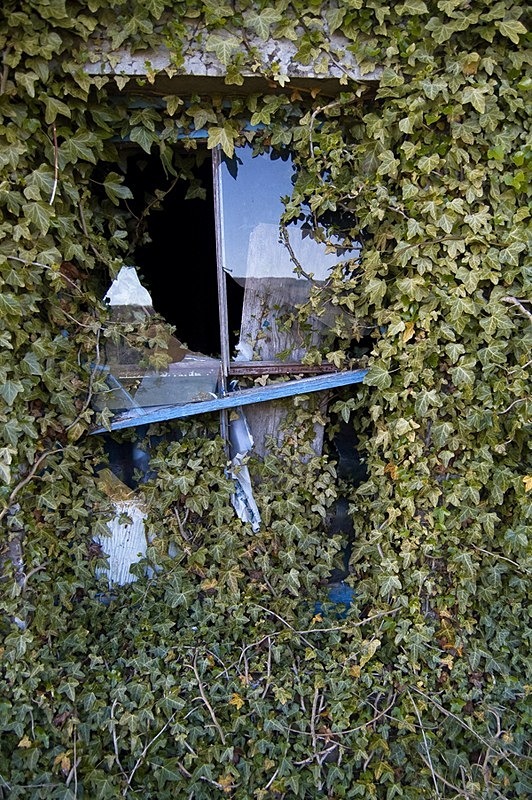  - Panes of Abandonment. Aberdeenshire